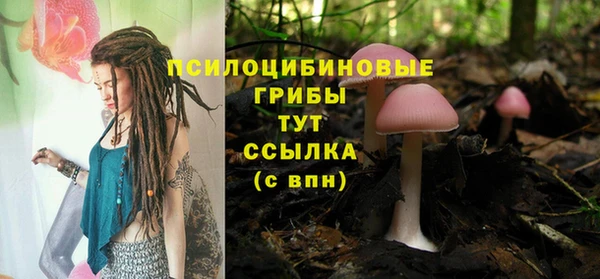 эйфоретик Богданович